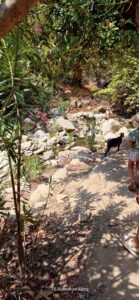 517603780 24609656978638057 142452191840405797 n