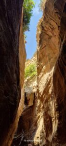 518352411 24609652965305125 682868149447774512 n