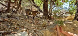 518384354 24609657948637960 7721524365104723225 n