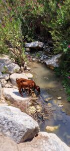 518418121 24609656551971433 3054782861646002016 n