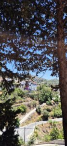 526573184 24745339408403146 8347986317414977717 n