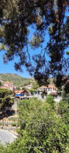 527533830 24745338938403193 5707442932194546034 n