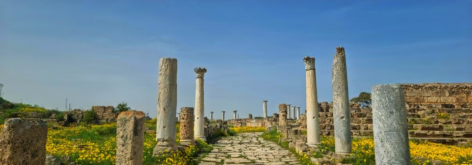 1651764037559 topaz denoise exposure sharpen