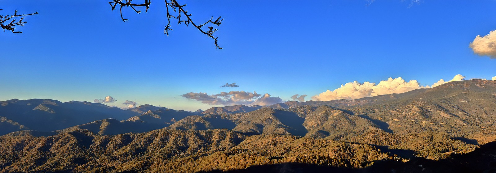 20250116 162511 topaz denoise exposure sharpen