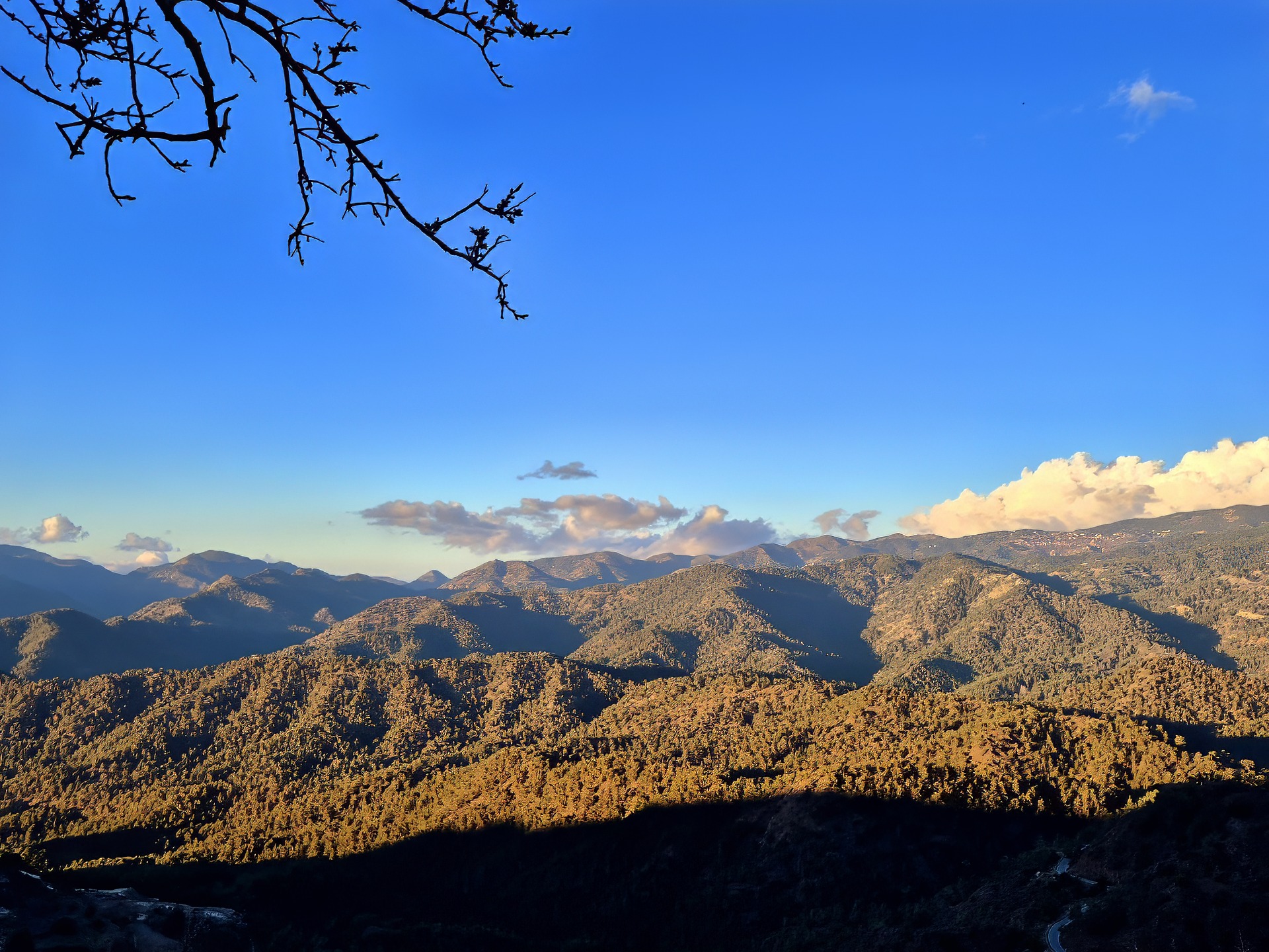 Pagrindinis 20250116 162511 topaz denoise exposure sharpen