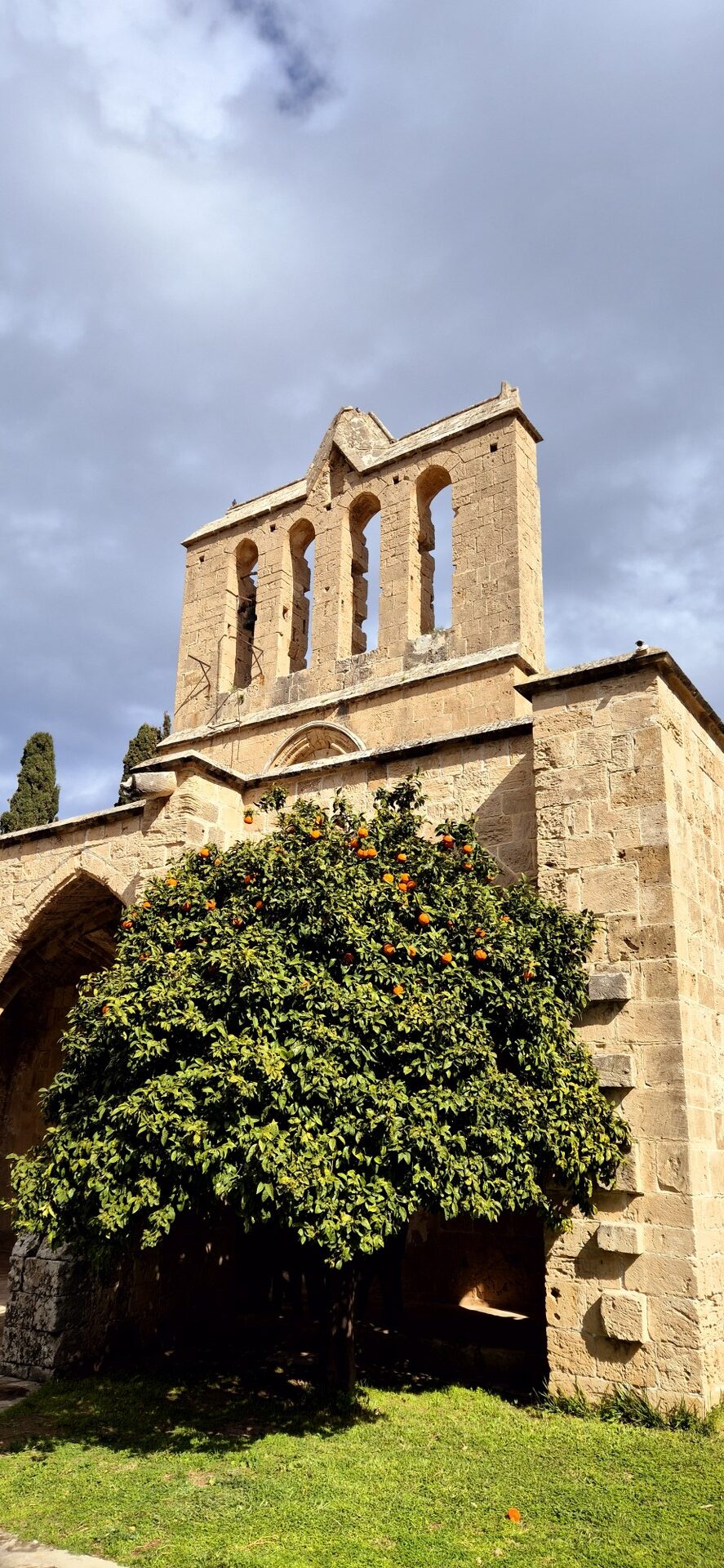 Šiaurės Kipro pažintis 20250220 142303