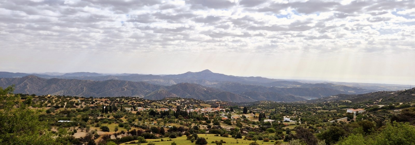 20250409 095553 topaz color