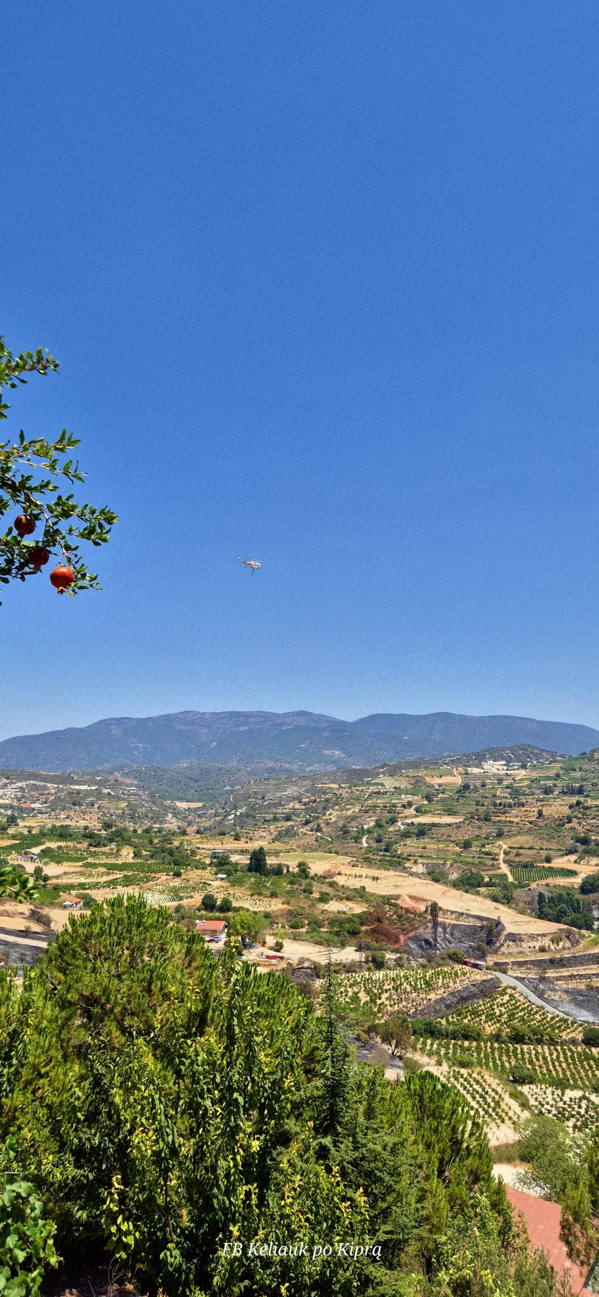 Afroditės pakrantės stebuklai 20250725 122340