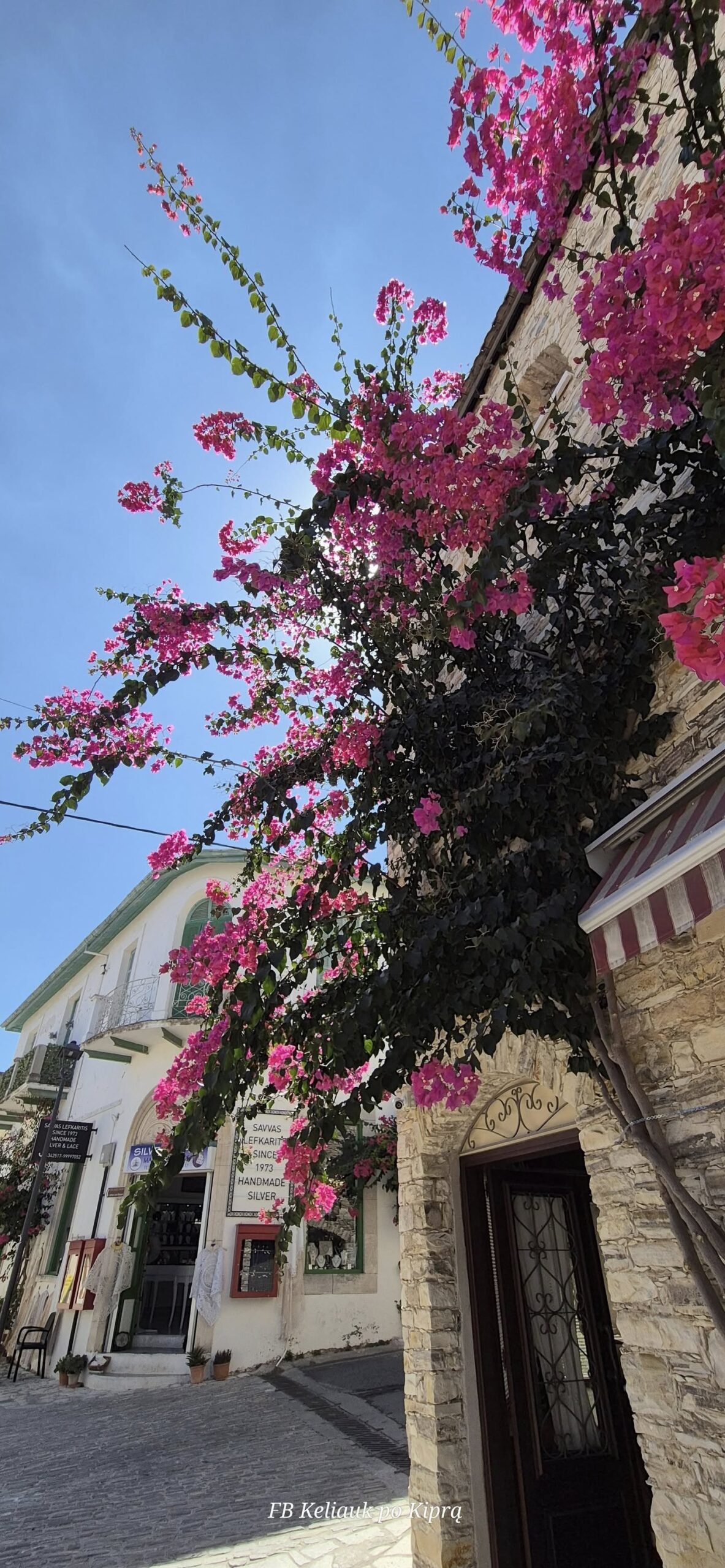 Improvizuota išvyka 549047970 25144358651834551 7345409131958194718 n