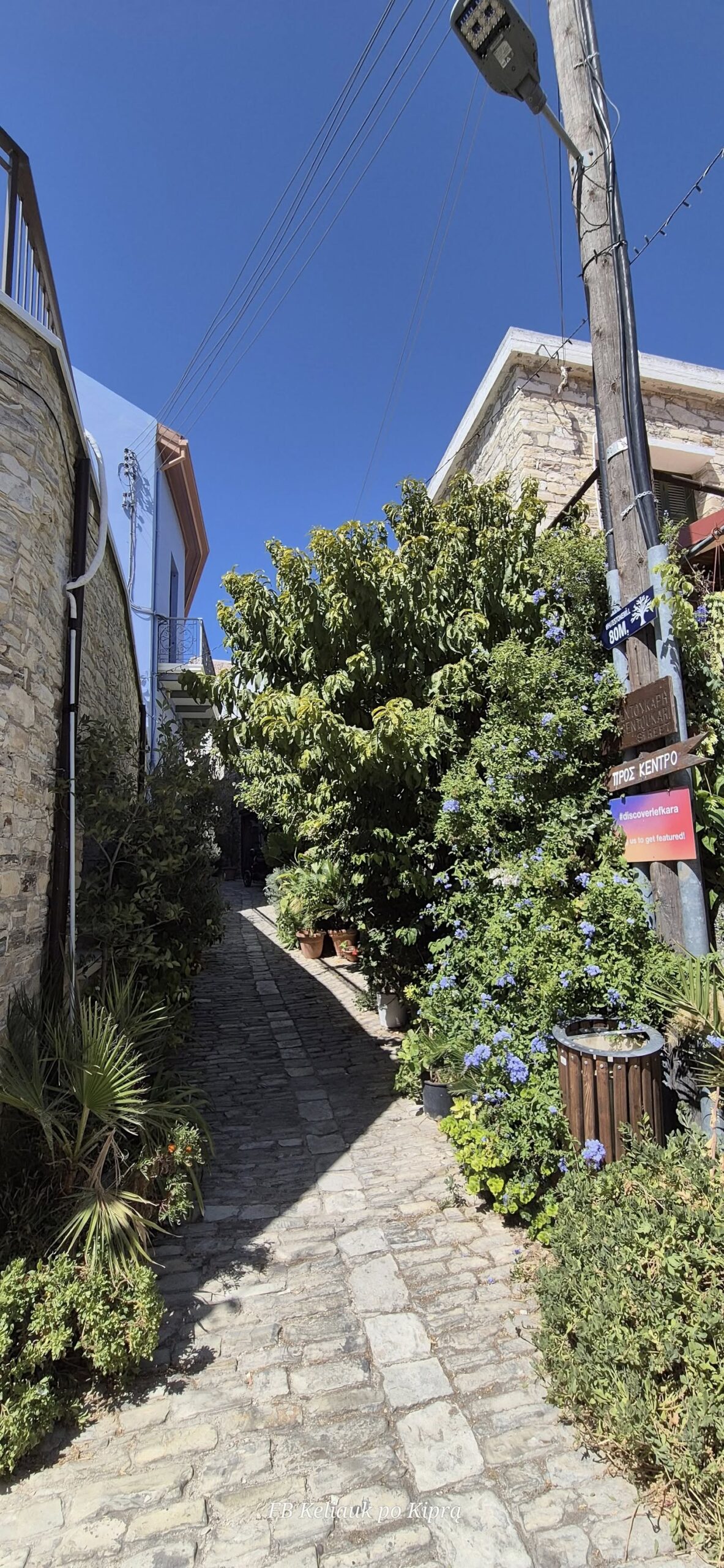 Improvizuota išvyka 549816319 25144363261834090 7339523011735030578 n