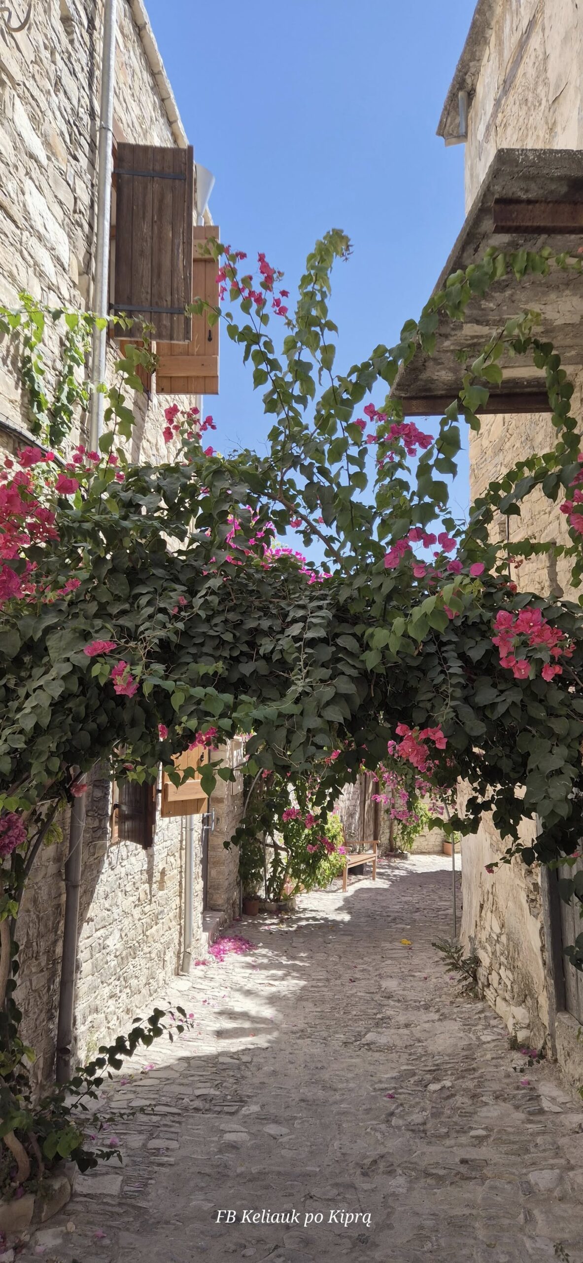 Improvizuota išvyka 550253828 25144361665167583 5827784375881395106 n