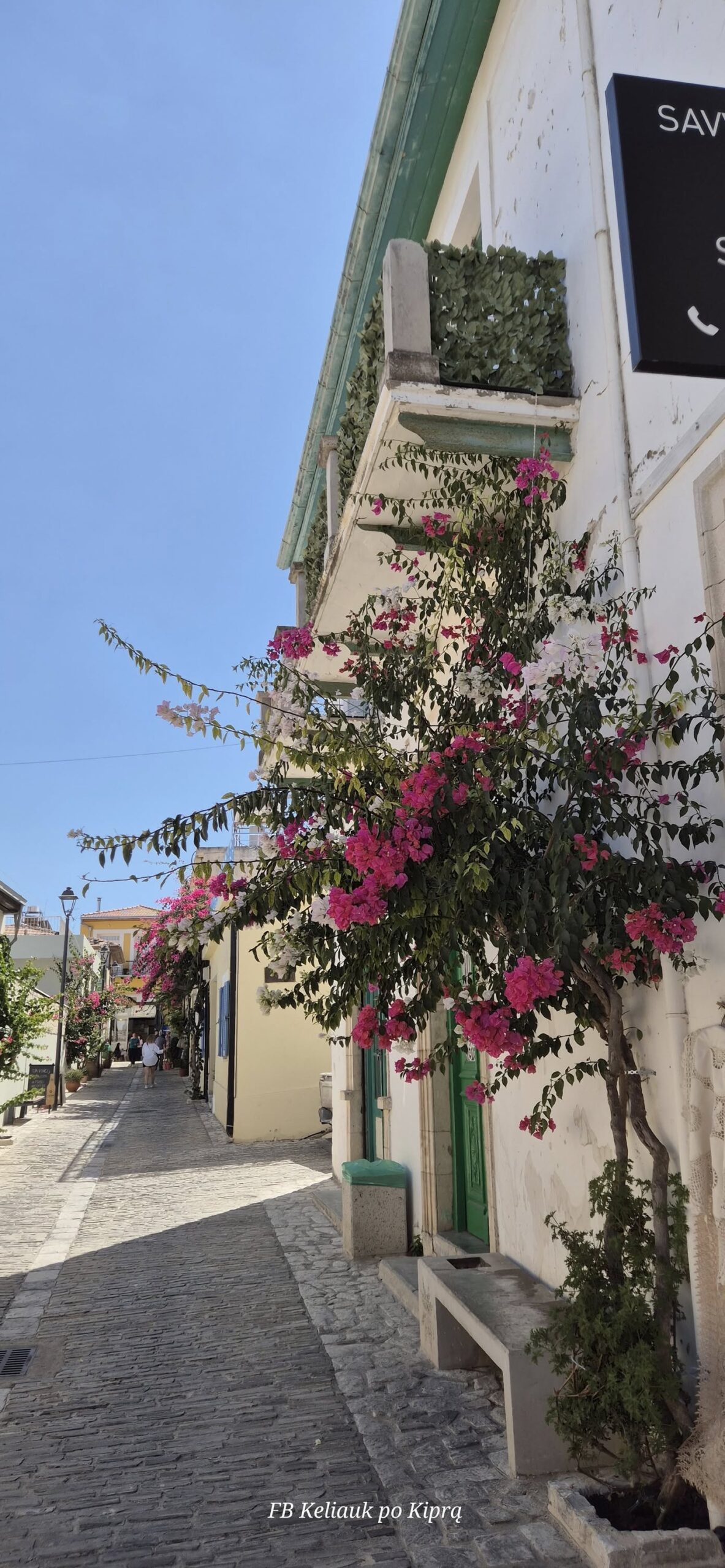 Improvizuota išvyka 550865184 25144359761834440 1025135924739059454 n