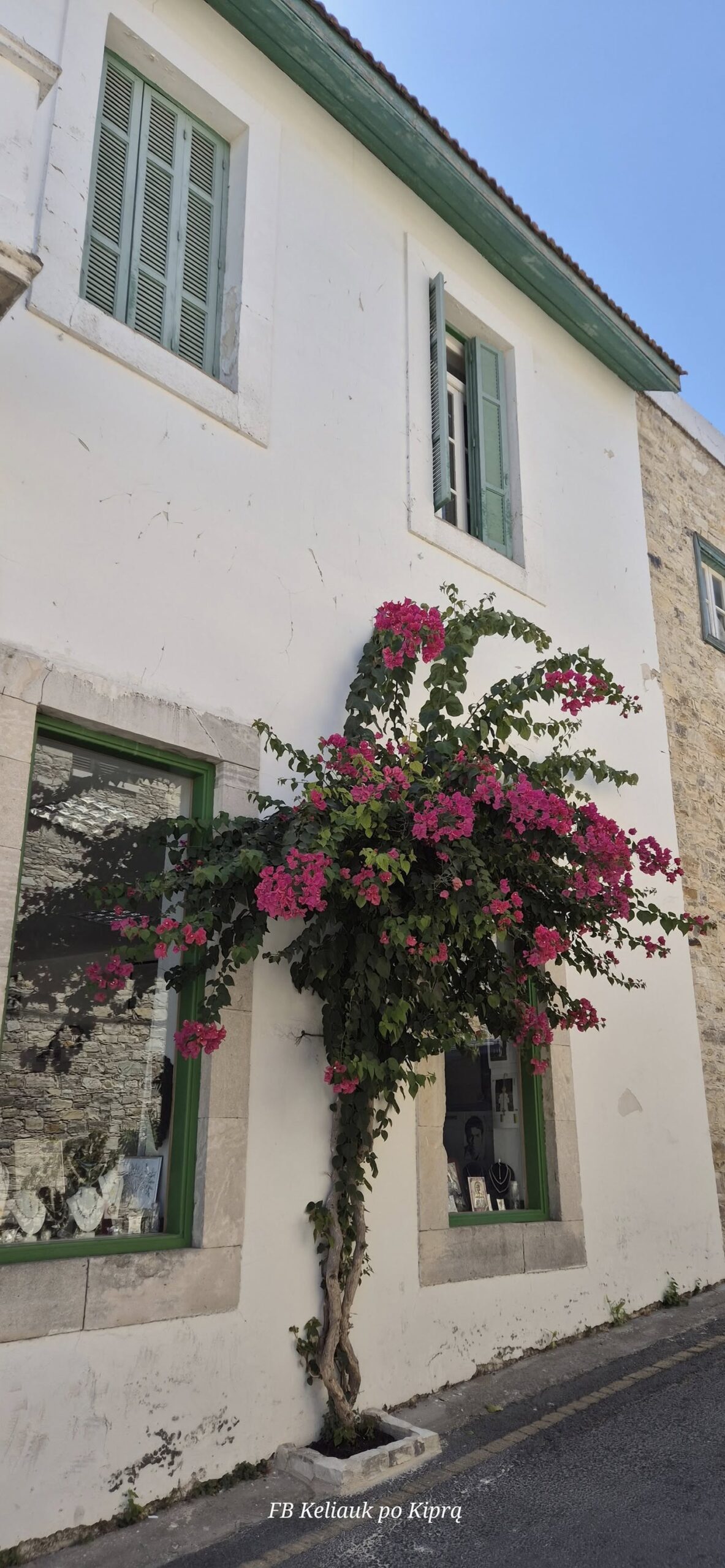 Improvizuota išvyka 551230166 25144359008501182 4438164891460883281 n