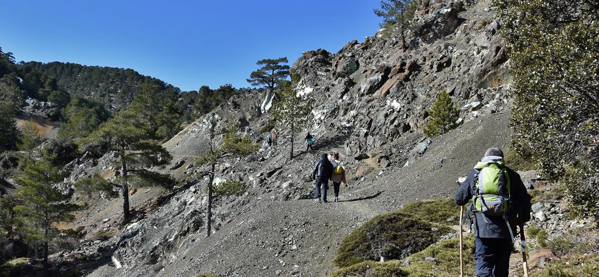 659889405 1267651685550524 3694629630244313014 n