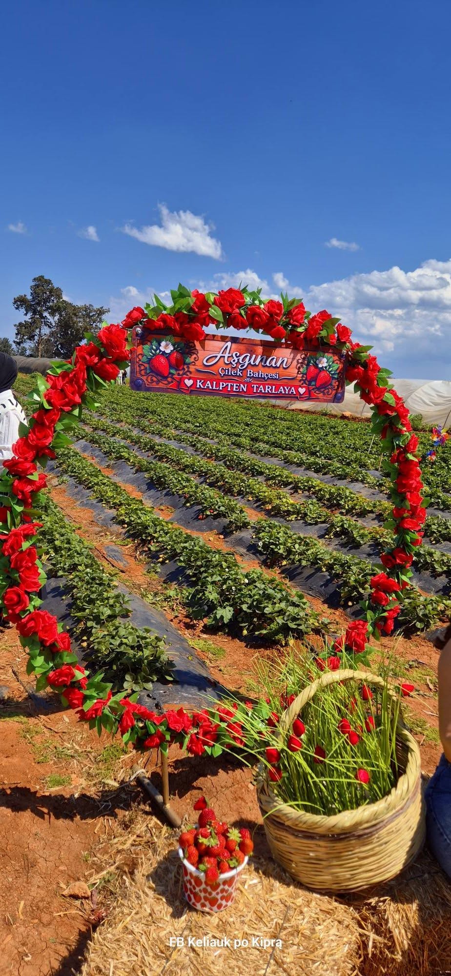 Kelionė į Šiaurės Kiprą 670466969 27049975304606200 2795669852054842110 n