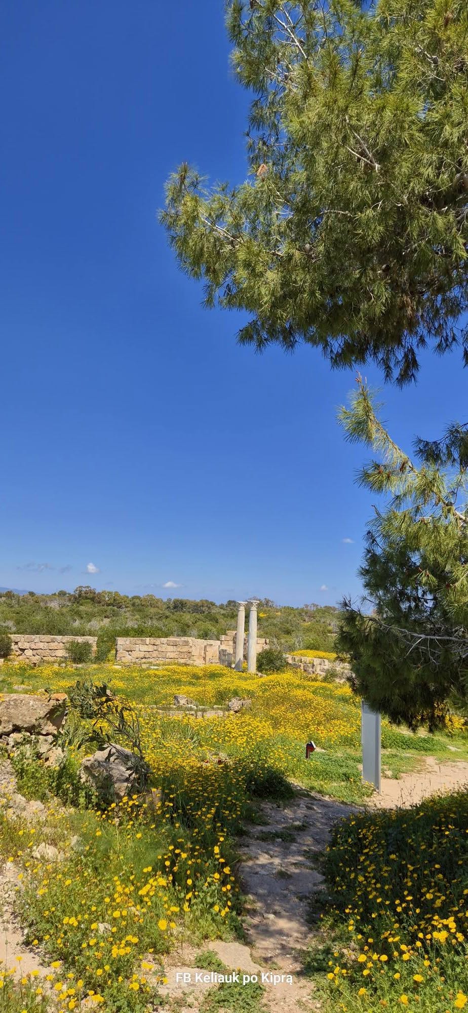 Kelionė į Šiaurės Kiprą 670644637 27049976071272790 70255764410722833 n