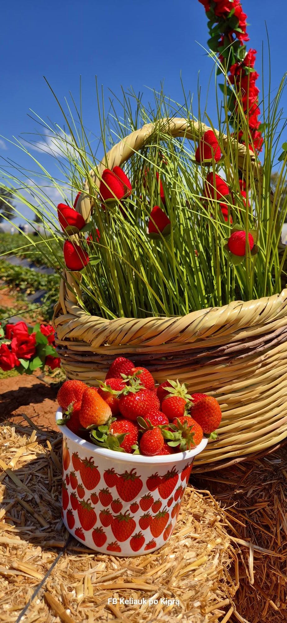 Kelionė į Šiaurės Kiprą 670787601 27049974497939614 5055205462727602982 n