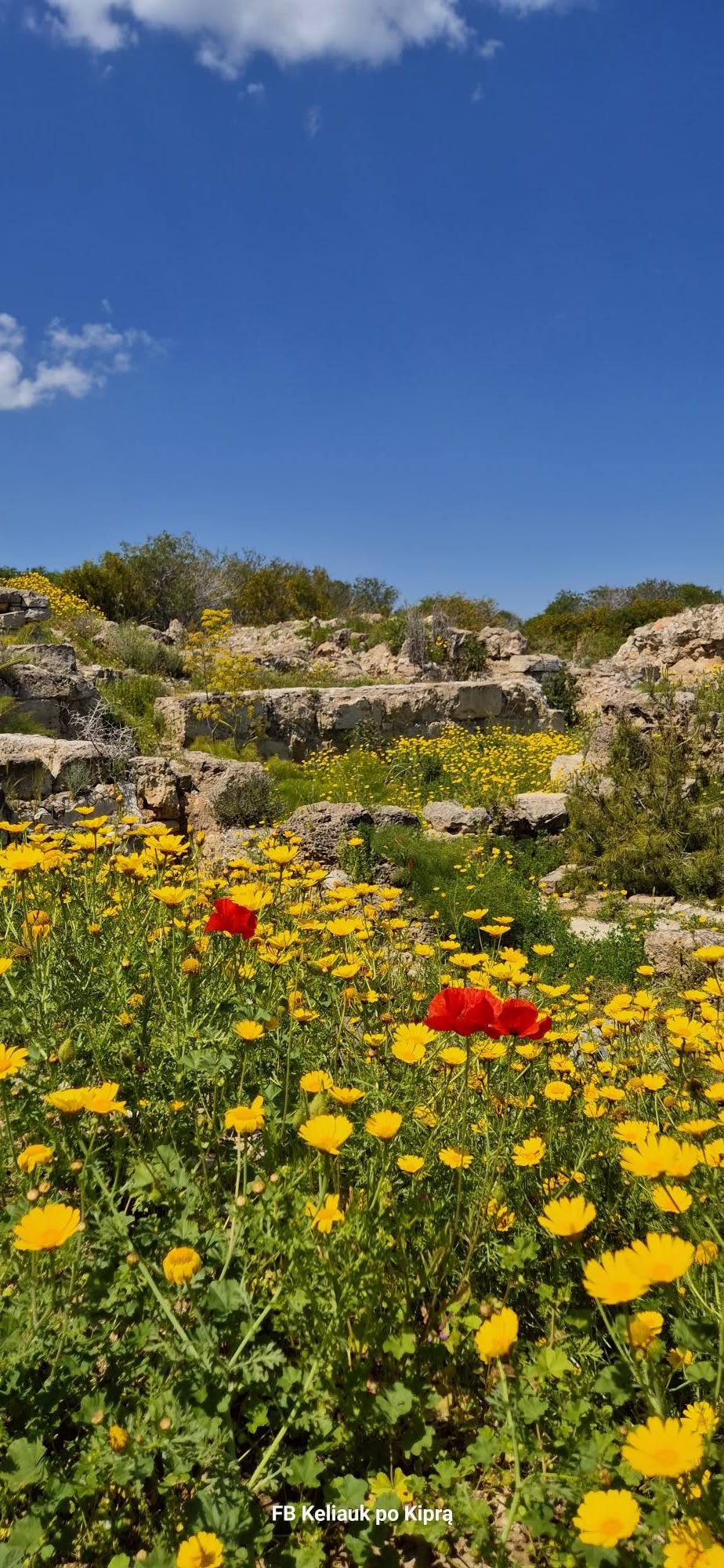 Kelionė į Šiaurės Kiprą 671119371 27049976271272770 1786256311912232769 n