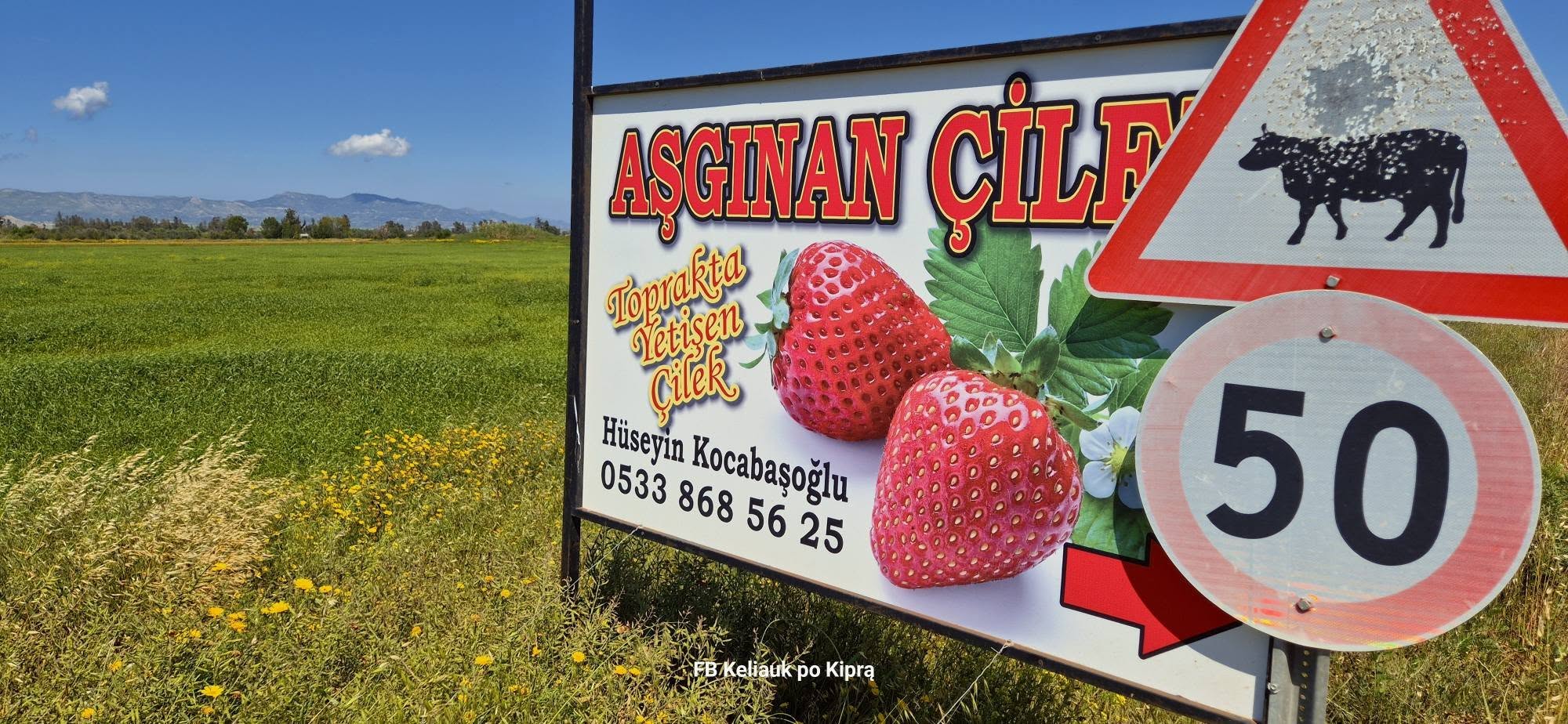 Kelionė į Šiaurės Kiprą 671212152 27049975581272839 5406134992790903104 n