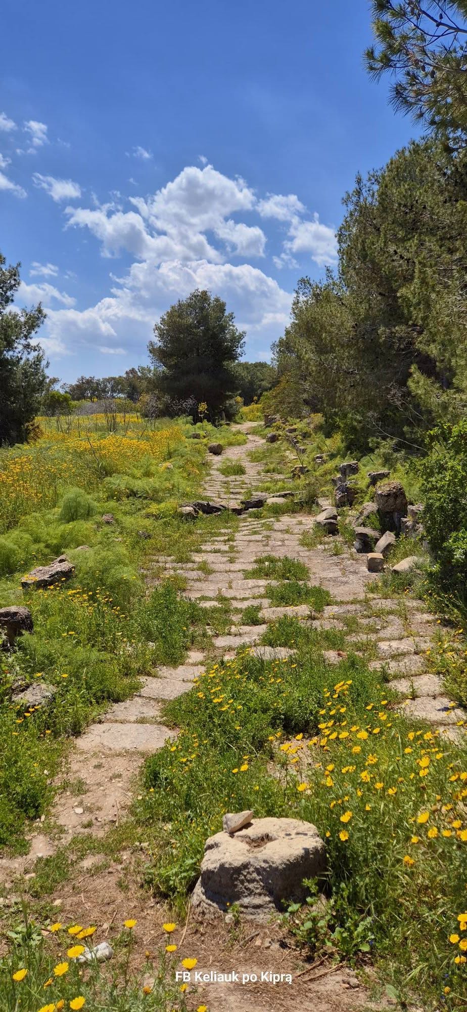 Kelionė į Šiaurės Kiprą 671651469 27049977031272694 919396010403998938 n