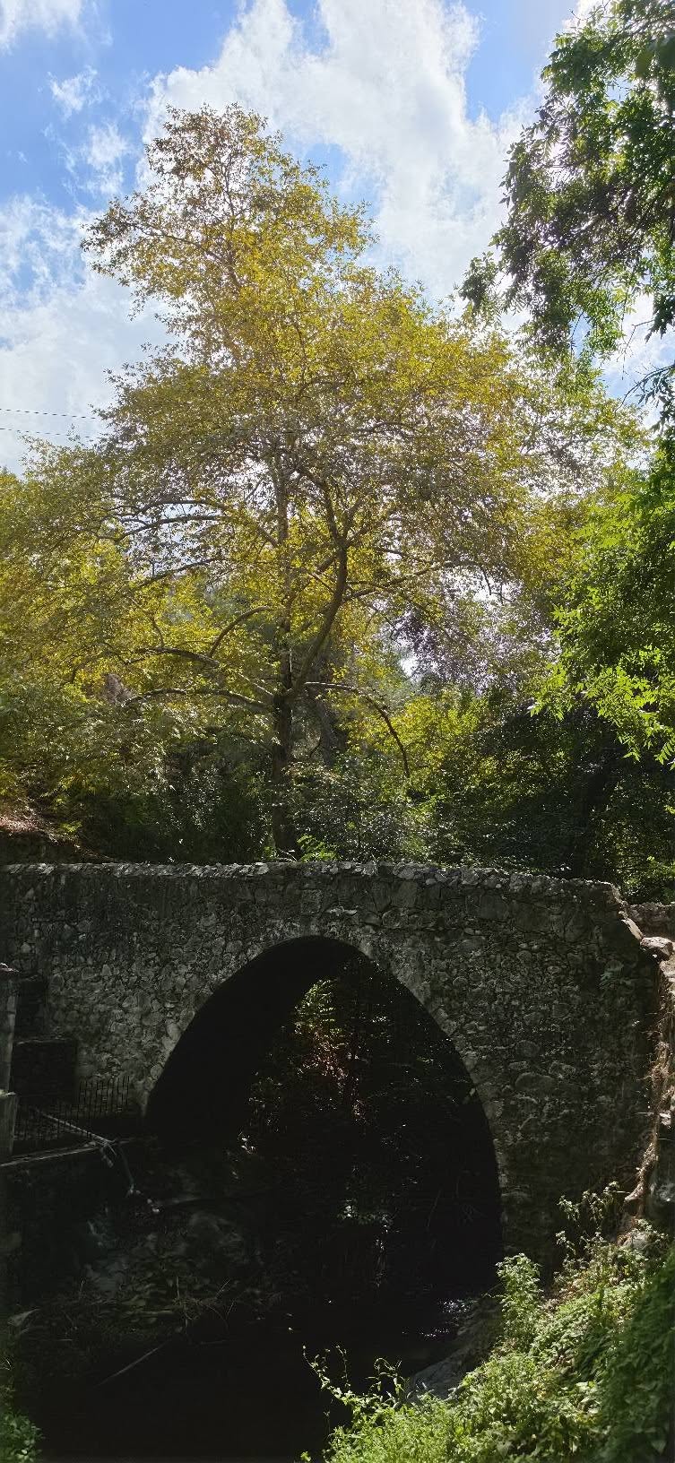 Du tiltai Kalopanagiotis 825292453 29095865626683814 4805083406282873018 n